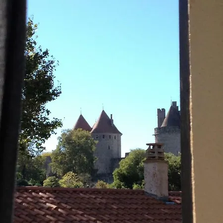 Au Vieux Lavoir Avec Parking Prive, Jardin , Climatisation, A 500 M De La Cite Lejlighed Carcassonne