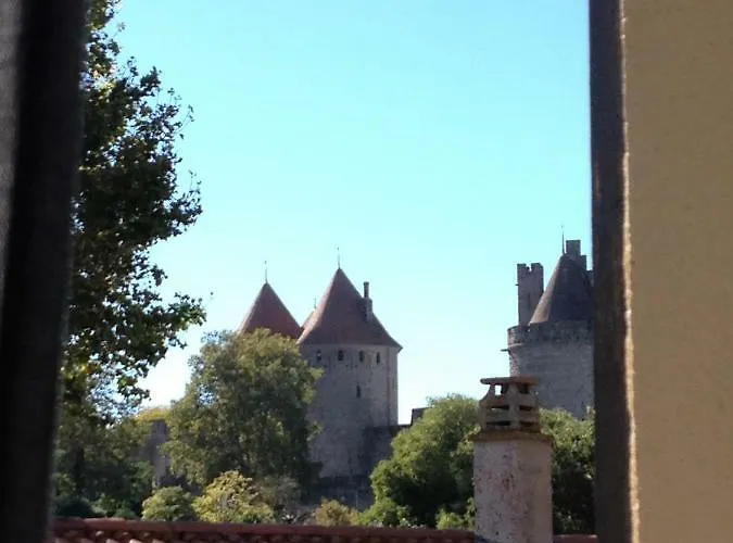 Au Vieux Lavoir Avec Parking Prive, Jardin , Climatisation, A 500 M De La Cite Lägenhet Carcassonne