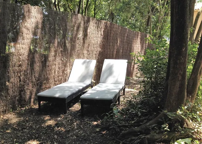 Au Vieux Lavoir Avec Parking Prive, Jardin , Climatisation, A 500 M De La Cite Lägenhet Carcassonne
